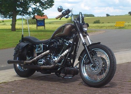 Sissybar Zijplaten Harley Davidson Sportster Modellen Zwart