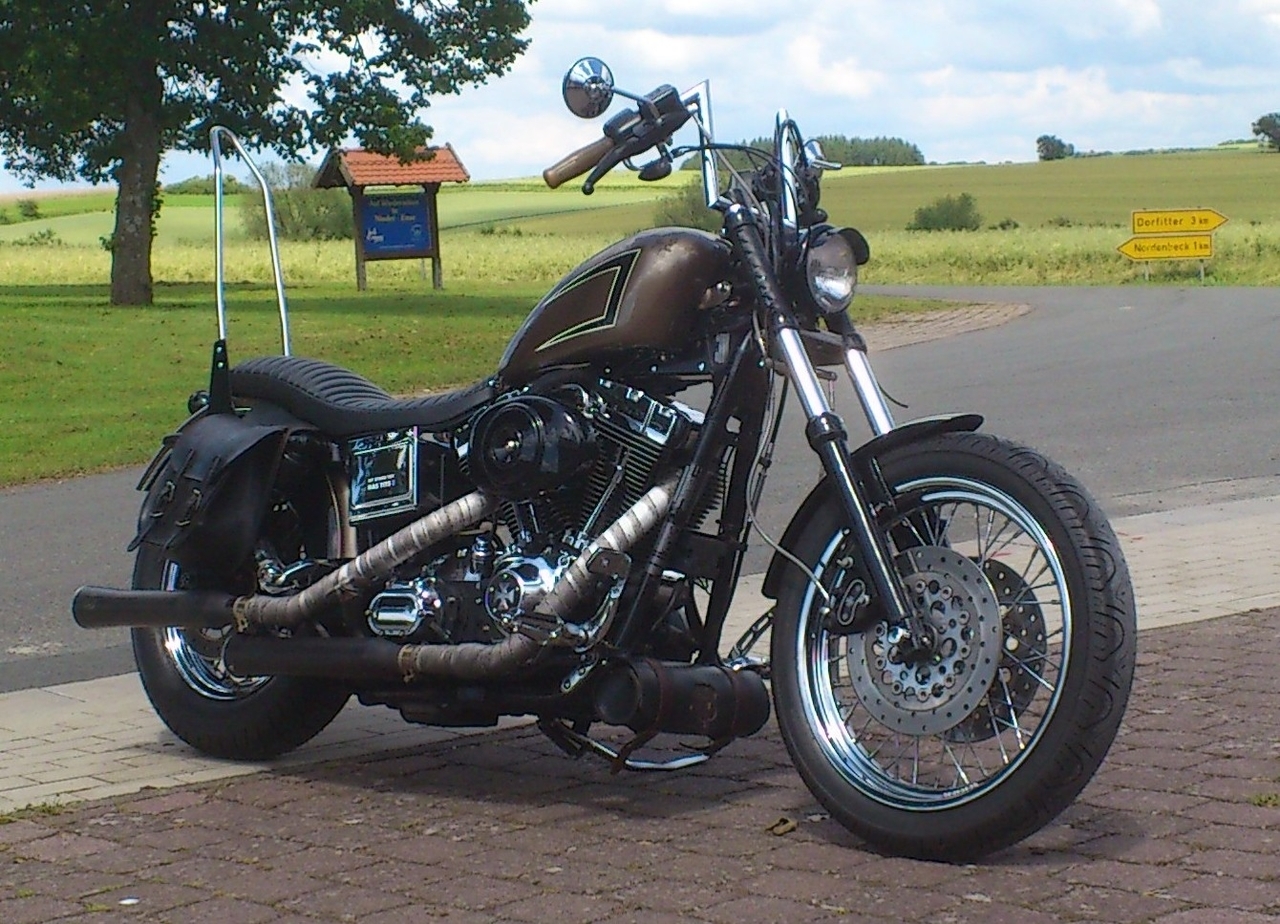 Sissy bar for store sportster