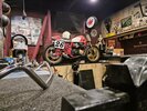 Welkom in onze shop in Honselersdijk