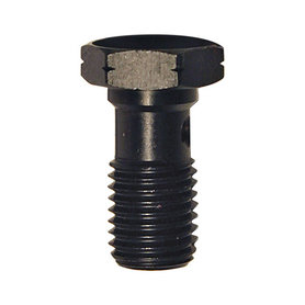 Banjo bout m10x1,25 enkel